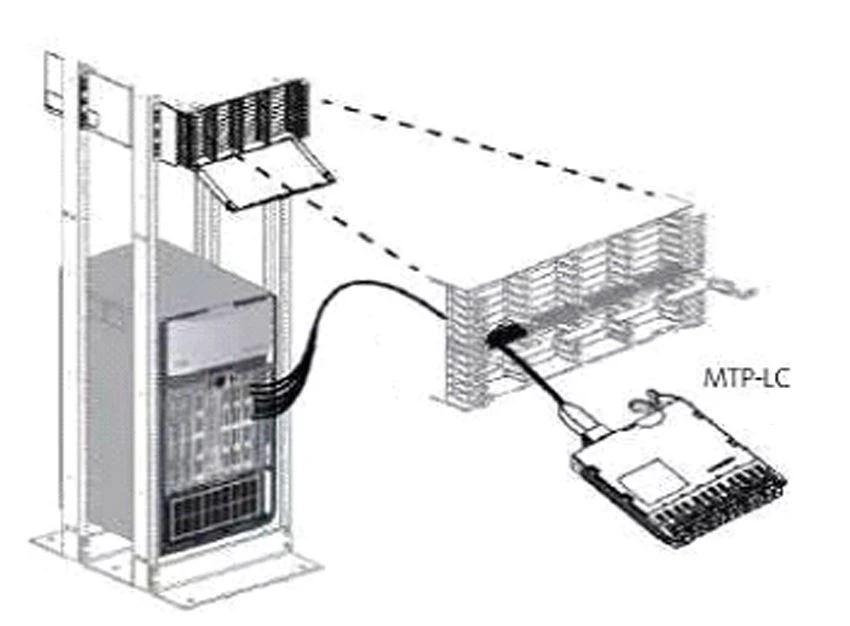 Module branch cable application Module branch cable application