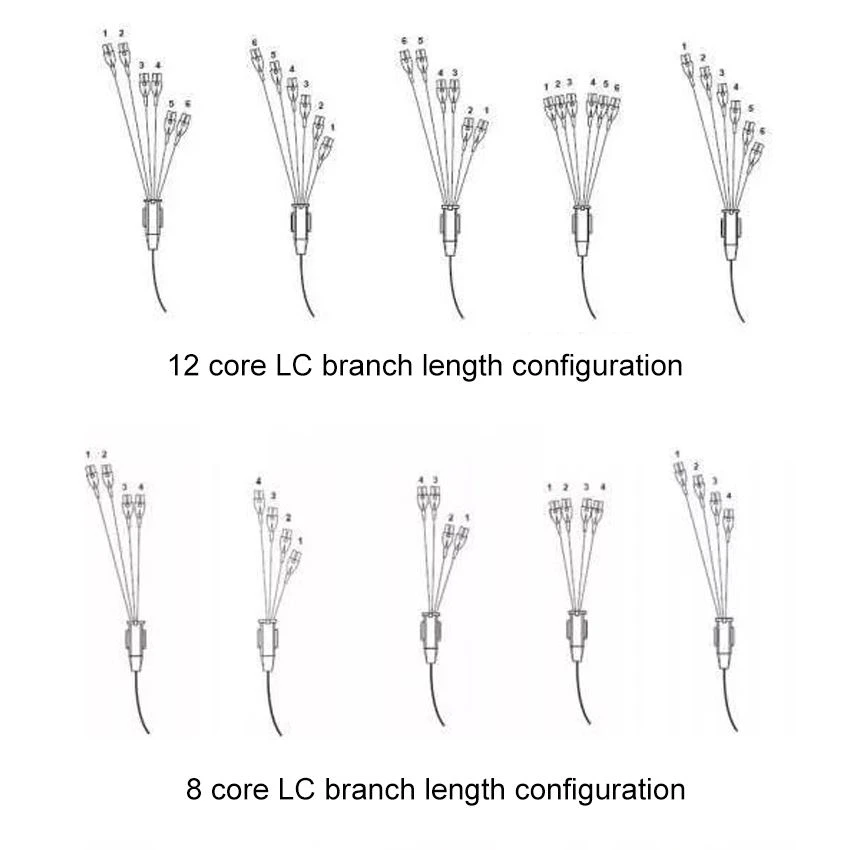 branch length configuration branch length configuration