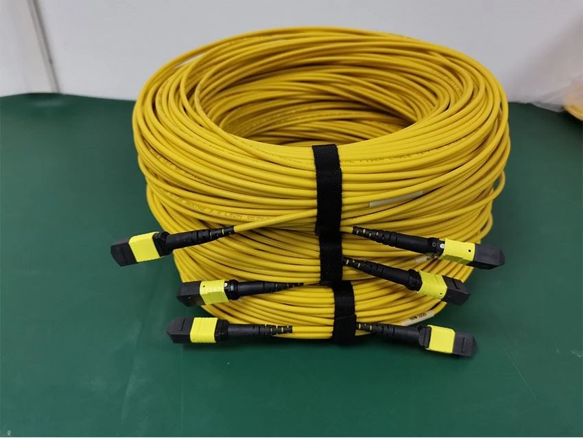 12 24 Fibers