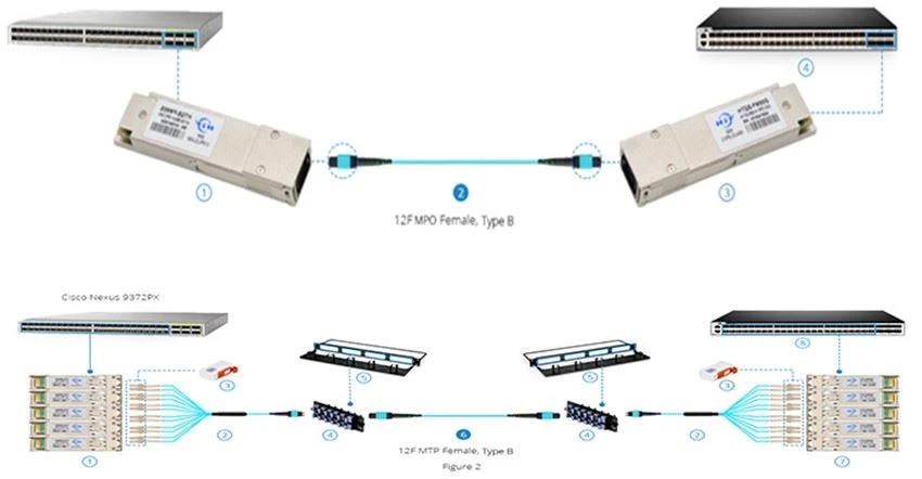 Optical module and MPO